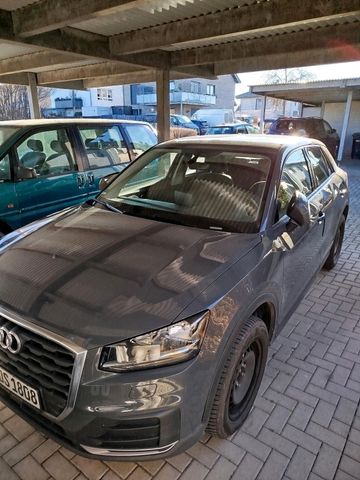 AUDI Audi Q2 ultra 1.0 tfsi 66.000 km