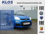 Fiat Panda HYBRID 1.0 GSE 70PS PDC CITY PAKET RADIO 5 - Fiat Panda Tageszulassungen mit Benzin-Antrieb