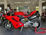 Ducati Panigale V2S 2025 - DUCATI PANIGALE V2
