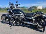 Harley-Davidson V-Rod VRSCA - HARLEY-DAVIDSON V ROD VRSCA