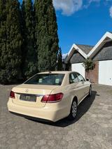 Mercedes-Benz E 220 BlueTEC 4MATIC Autom. - - Mercedes-Benz E 220: Taxi