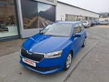 Skoda Fabia Active 1.0MPI 44kW 60PS - Skoda Fabia: Kleinwagen, 1.4