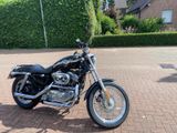 Harley-Davidson Sportster XLH 883 Anniversary 5 HD  - HARLEY-DAVIDSON 2003 883 SPORTSTER