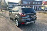 Ford Kuga 1.5 EcoBoost 2x4 Business Edition - Ford Gebrauchtwagen in Oldenburg