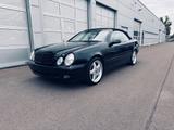 Mercedes-Benz CLK 320 Bose MAE Cabrio  AMG 18 ab 199 Euro - gebrauchte Mercedes-Benz CLK-Klasse aus dem Jahr 1998