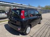 Fiat Panda Lounge - gebrauchte Fiat Panda aus dem Jahr 2016