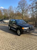 BMW X5 e53 2003 Schwarz 3.0D  2.Hand - BMW E53 - BMW X5