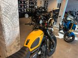 Honda CL 500 2025 Dusk Yellow *Tageszulassung 08-25* - HONDA MOTOCROSS DIRT BIKE