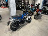 Honda DAX 125 ST 2024 Blau *Tageszulassung 12/24* - Angebote entsprechen deinen Suchkriterien
