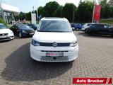 Volkswagen Caddy Maxi California 4Motion 2.0 TDI Rückfahrka - Volkswagen Caddy Maxi: 4motion