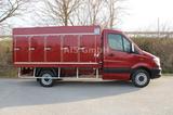 Mercedes-Benz Sprinter 311 Euro 6 Cold Car -33°C ATP 03/29 4x2 - Mercedes-Benz Kastenwagen hoch + lang Sprinter 6