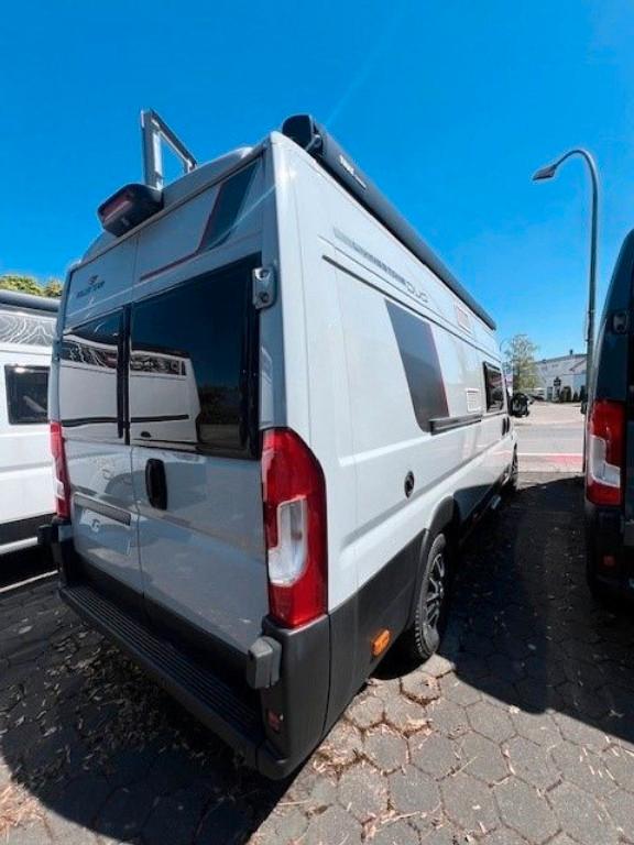 Roller Team Livingstone DUO Sport - Showroom Abverkauf