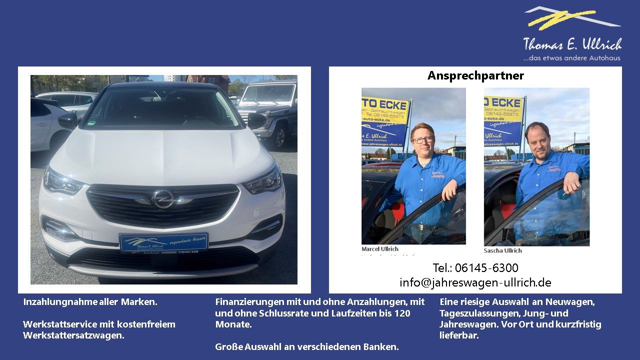 Fahrzeugabbildung Opel Grandland Elegance AT+elektr. Heckklappe+Sitzhzg