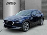 Mazda CX-30 EXKLUSIV-LINE HUD El. Panodach Soundsystem - Mazda CX-30 Tageszulassungen