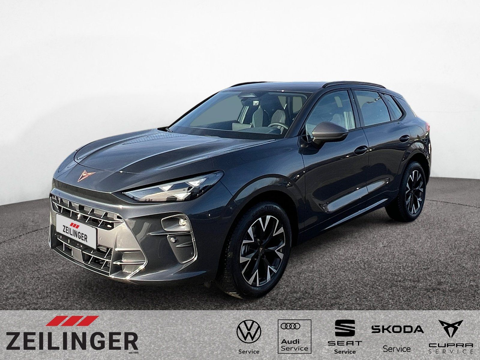 Cupra Terramar - Bild 1