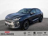 Cupra Terramar - Vorschau Bild 1