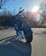 Suzuki LS650 - Bobber Umbau - SUZUKI CHOPPER 650
