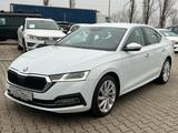 Skoda Octavia 2.0 TDI DSG 4x4 STYLE 200 - Skoda Octavia mit Diesel-Antrieb: Allradantrieb, Limousine