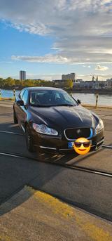 Jaguar XF 3.0 V6 Diesel Luxury Luxury - Jaguar XF Luxury mit Diesel-Antrieb