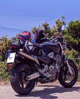 Honda Hornet 900 SC 48, schöne Optik, viel Zubehör - HONDA HORNET