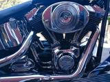 Harley-Davidson Softail FLSTC  - HARLEY-DAVIDSON FLSTC