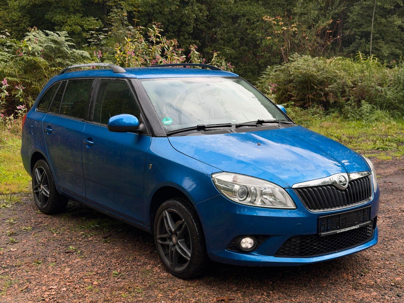 Skoda Fabia 2014 — rear view
