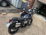 Triumph NEU!!! Street Scrambler 900 GoldLine Edition  - Triumph Motorräder in Düsseldorf