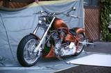Harley-Davidson Harley Davidson by Sava Custom lake of Constance