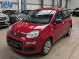 Fiat Panda 1.2 Pop - Fiat Unfallwagen