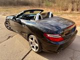 Mercedes-Benz SLK 350 AMG-Styling Voll Scheckheft  - Mercedes-Benz SLK 350 in Berlin