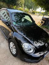 Volkswagen VW New Beetle 1.2 TSI | 105 PS | TÜV 10/2026 | N - Volkswagen Beetle in Duisburg