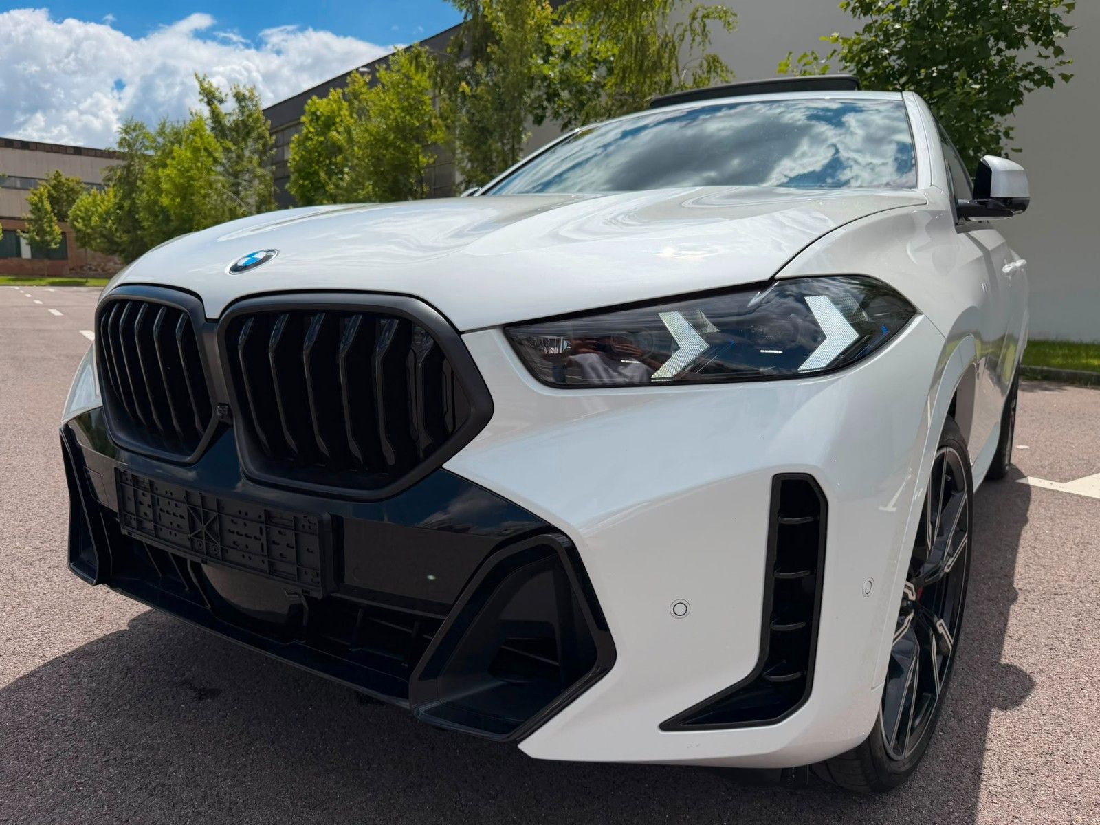 BMW BMW X6 xDrive30d M Sport