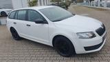 Skoda Octavia Combi Active/1,6 Tdi/ Klima/ Tüv07-2026 - Skoda Octavia Active mit Diesel-Antrieb