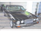 Jaguar JAGUAR XJ12 BJ.:1984 - Jaguar XJ12 von privat