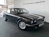 Jaguar XJ V12 Serie III H-Zulassung Schiebedach TOP - Jaguar: 12