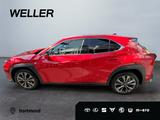 Lexus UX 300h F SPORT Design *Navi*LED*CarPlay*CAM*TWA - rote Lexus UX