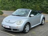 Volkswagen New Beetle Cabriolet 1.6/Klima/TÜV 12.2026 - Gebrauchtwagen bis 4.500 Euro