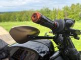 Harley-Davidson Sportster S Jekill & Hyde custom Umbau - HARLEY-DAVIDSON SPORTSTER UMBAU