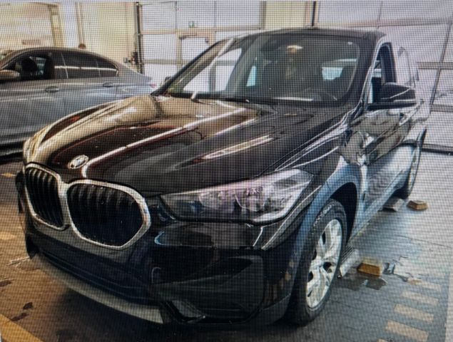 BMW X1 xDrive 25e Aut.PANORAMA HiFi