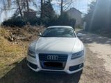 Audi A5 Sportback - Audi A5 aus 2009: Sportback