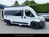 Reimo Fiat Reimo Umbau/Klima/Navi/Kamera/Markise - Wohnmobil oder -wagen Umbau