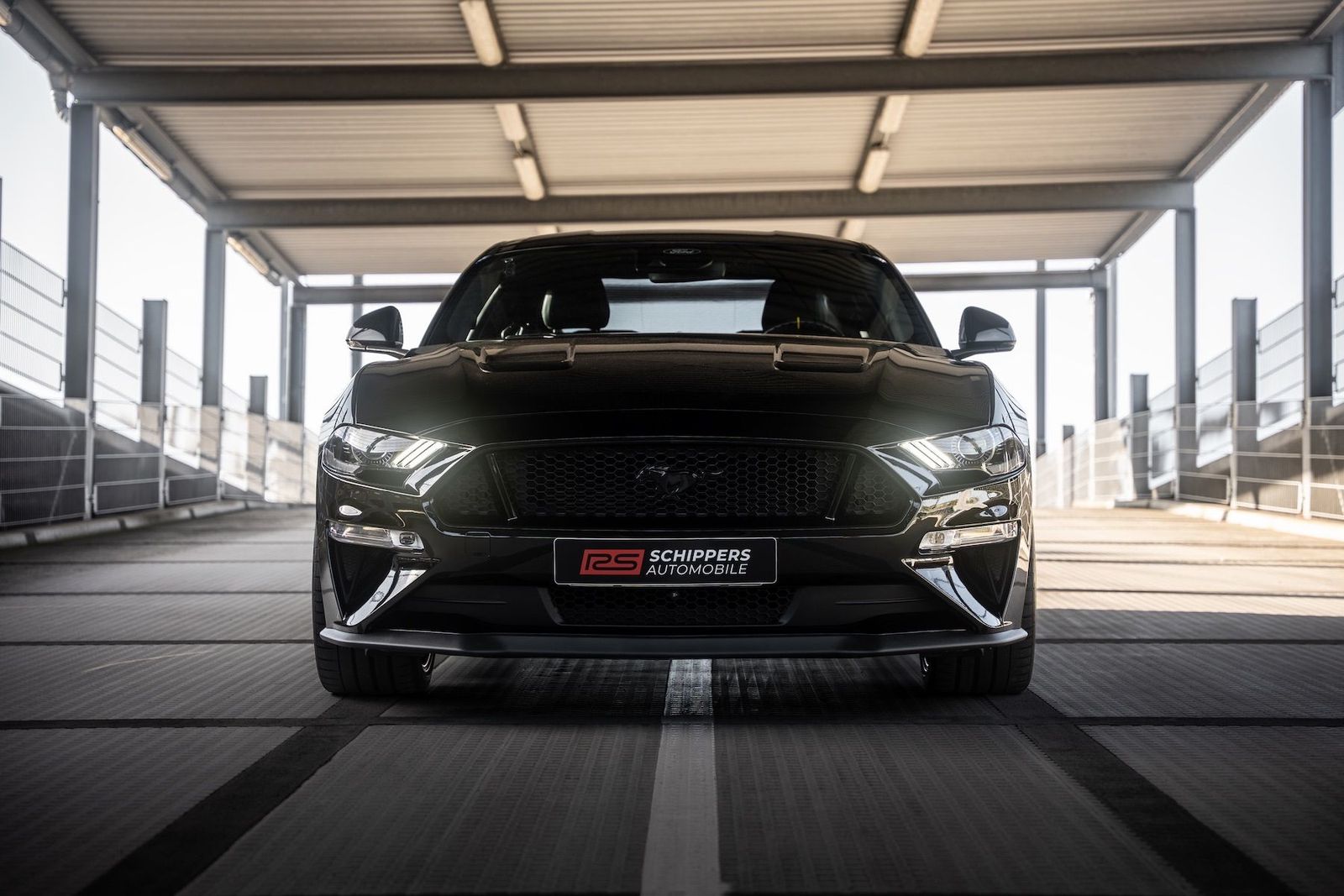 Fahrzeugabbildung Ford Mustang 5.0 Ti-VCT V8 Fast. GT|BESONDERE EXTRAS!