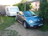 Volkswagen Beetle Cabrio, AHK, LPG-Gasanlage, Klima, TÜV - Volkswagen Beetle aus 2005: Cabrio