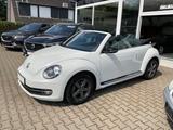 Volkswagen Beetle Cabrio 2,0 TDI Sport Soundsystem PDC Shz. - Volkswagen Beetle: TDI