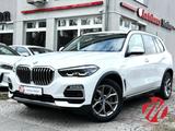 BMW X5 xDrive 45 e xLine Park-Ass ACC LEDER MEMORY L - BMW X5 mit Hybrid-Antrieb: Weiß