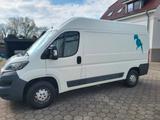 Peugeot Boxer wenig Kilometer, sehr gepflegt L2H2 - Peugeot Boxer Gebrauchtwagen