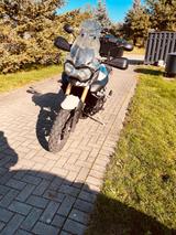 Triumph Tiger 800 - Angebote