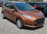 Ford Fiesta Trend Klima Winterpaket PDC - Ford Fiesta: Winterpaket