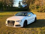 Audi S5 3.0 TFSI S tronic quattro Cabriolet - - Audi S5 aus 2011: Cabrio