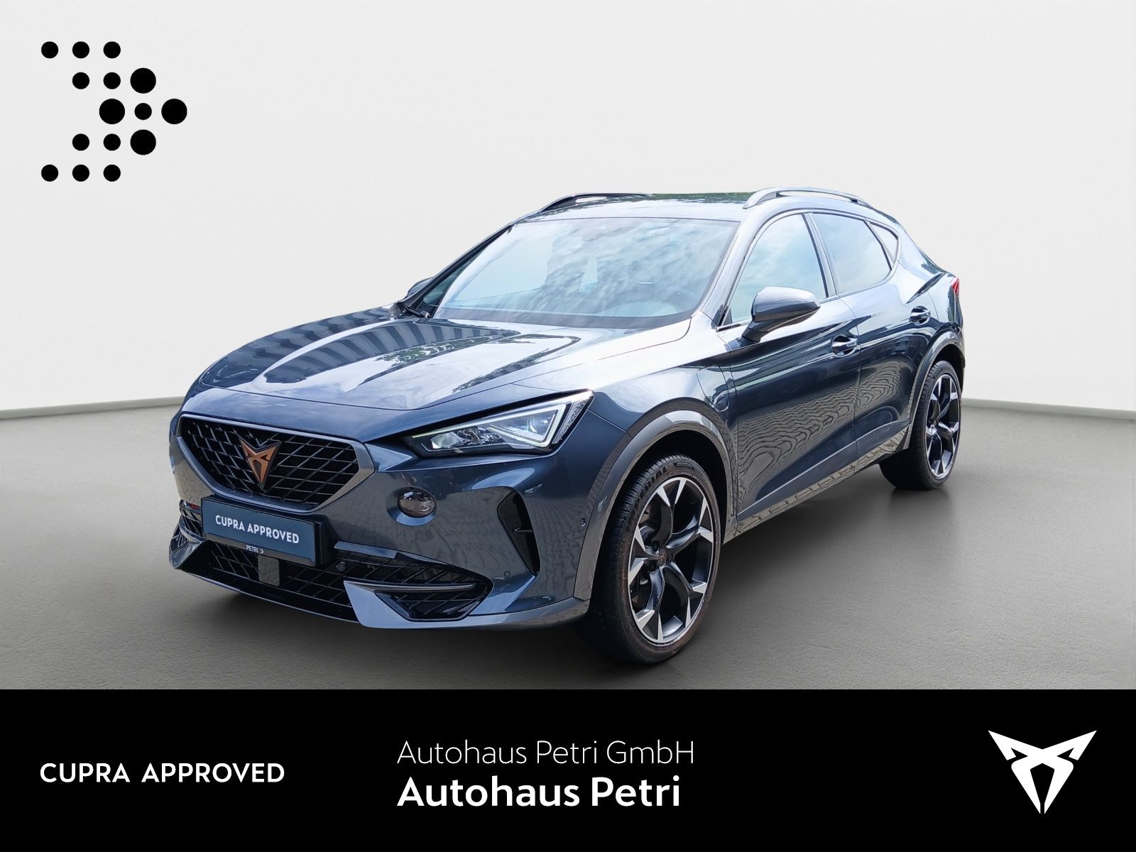 Cupra Formentor VZ 1.4TSI e-HYBRID*NAVI*AHK*KAM*LEDER*